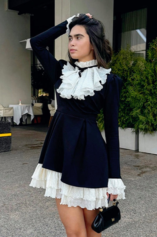 Ruffle High Neck Tie Bow Long Sleeve Fit and Flare Mini Dress