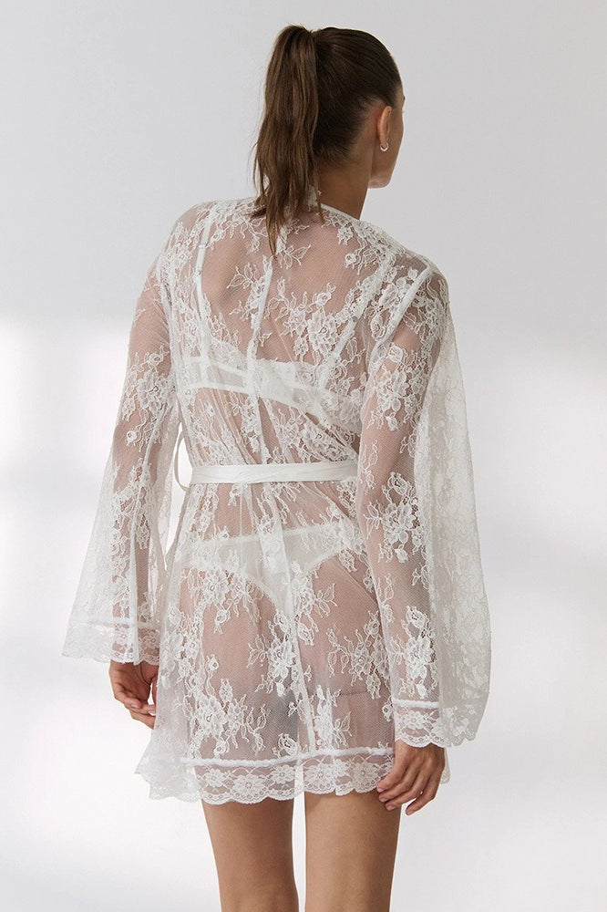 Lace Sheer Mesh Mini Dress