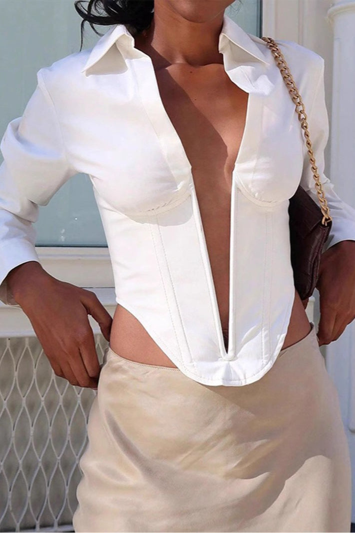 Deep V Neck Collared Long Sleeve Top