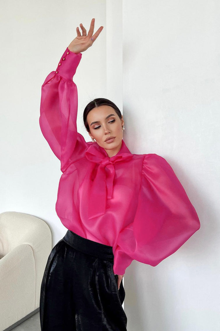 Layered Sheer Blouse