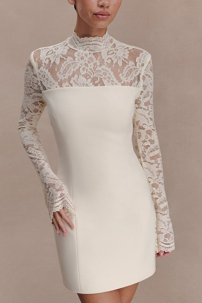 Strapless Lace Panel Sheer Backless Bodycon Lace Dress
