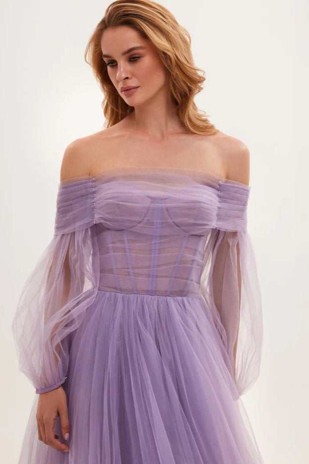 Off-the-Shoulder Sheer Mesh Dress