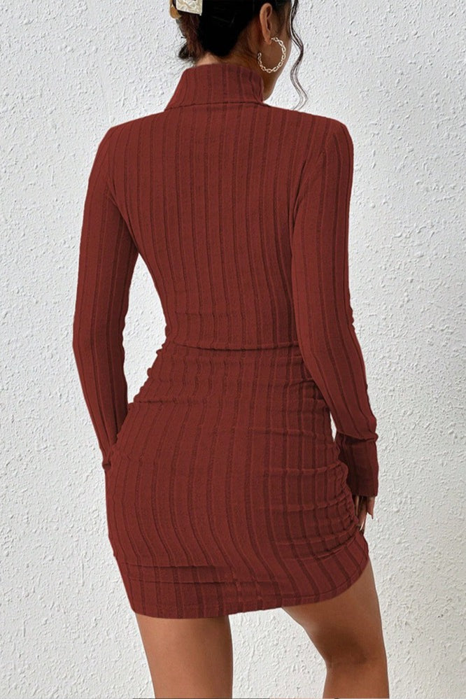 High Neck Slim Fit Knit Sweater Dress