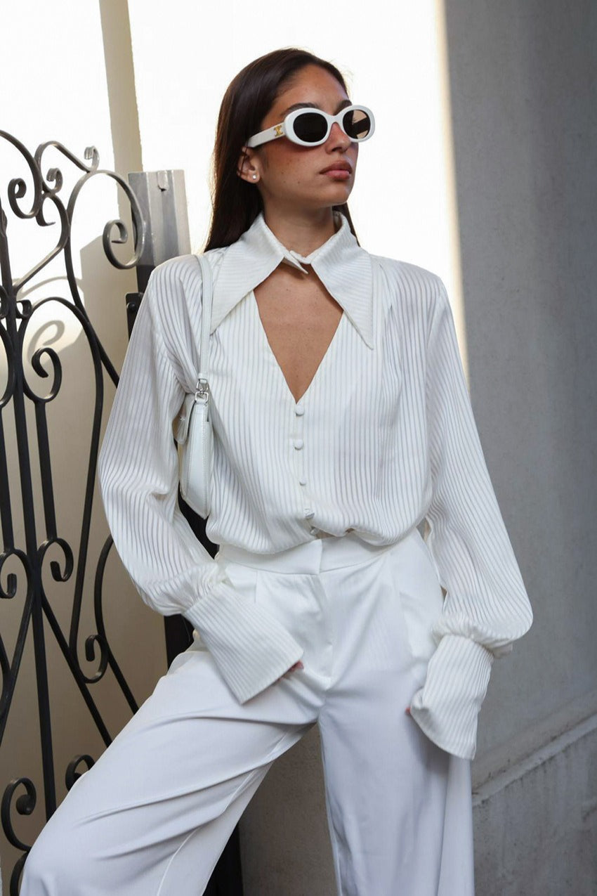 Pointed Collar V-Neck Tonal Stripe Bishop Sleeve Button Blouse