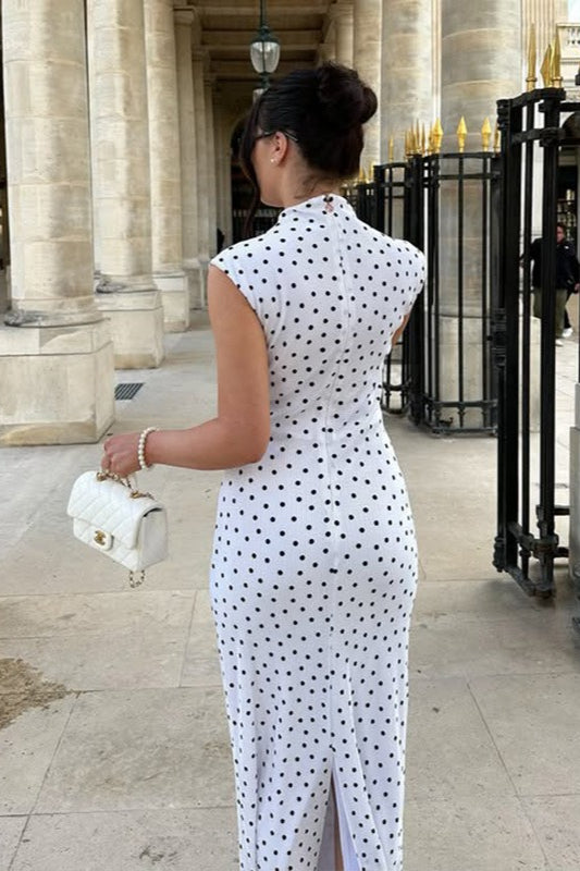 Refined Polka Dot Round Neck Maxi Dress