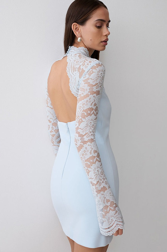 Strapless Lace Panel Sheer Backless Bodycon Lace Dress