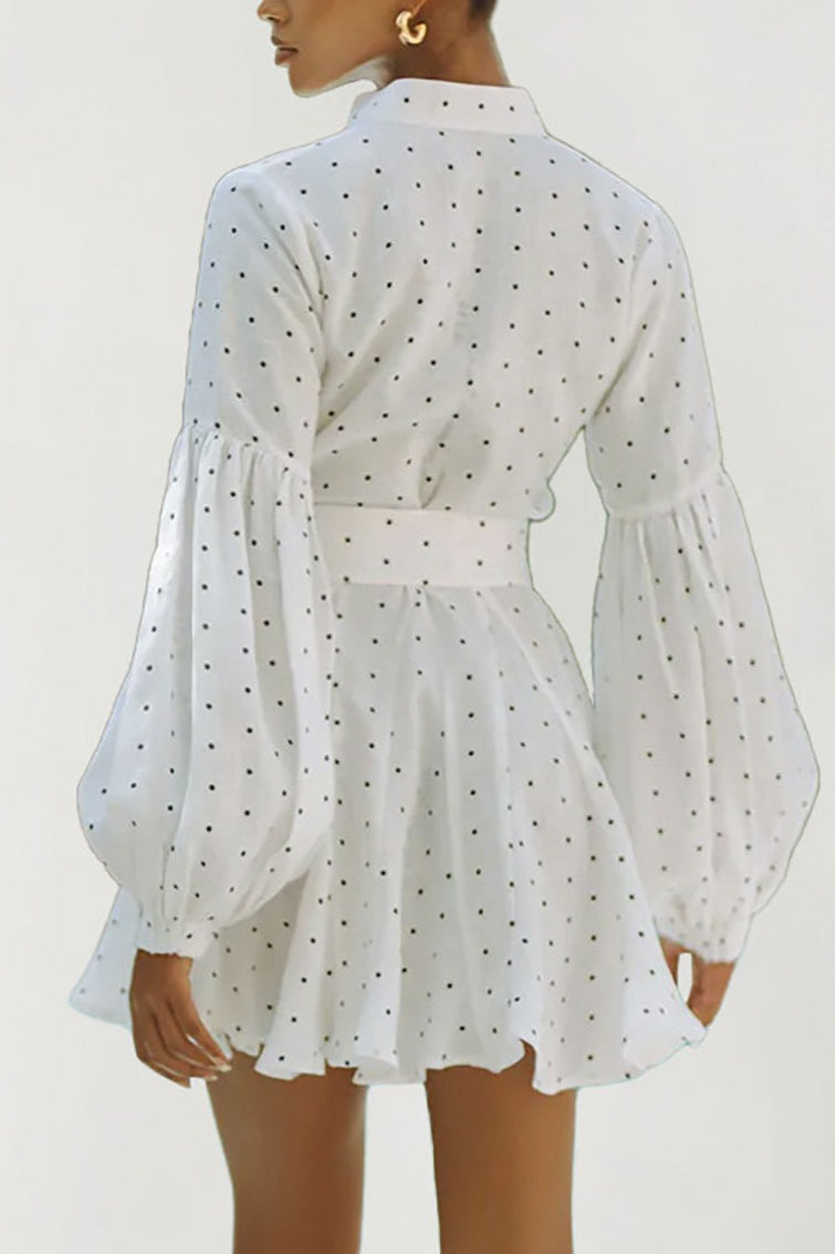 Polka Dot Lantern Sleeve Tie Mini Dress