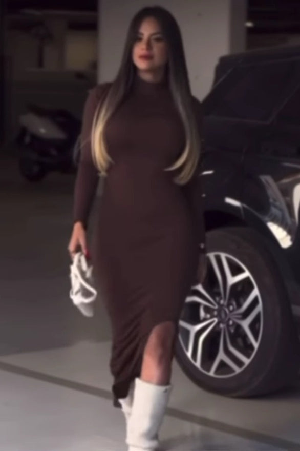 Elegant Stand Collar LongSleeve Work Dress