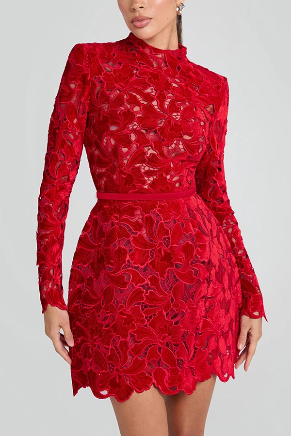 Floral Lace High Neck Long Sleeve Belted Mini Dress