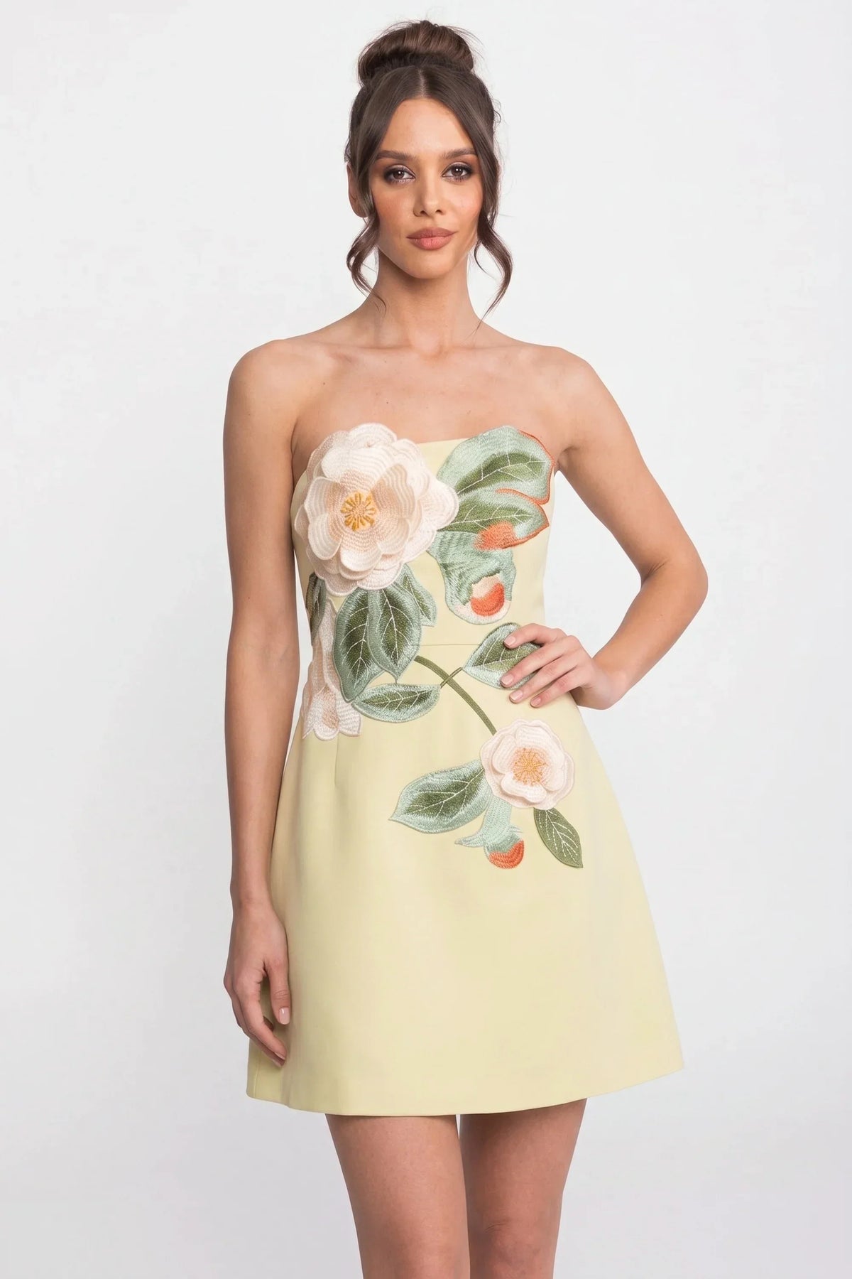 Strapless Embroidered Floral Applique A-Line Mini Dress