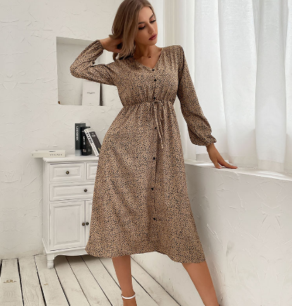 Ditsy Floral V-Neck Button Front Balloon Sleeve Smocked Fit and Flare Midi Summer Dress