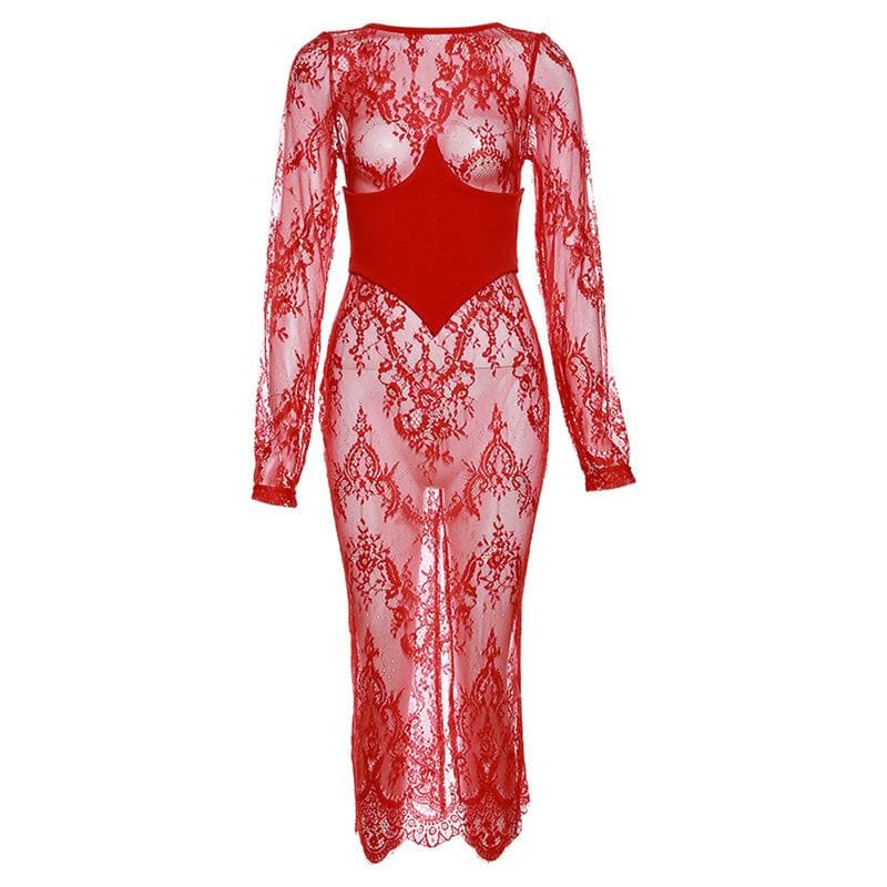 Floral Lace Long Sleeve Sheer See Through Maxi Dress