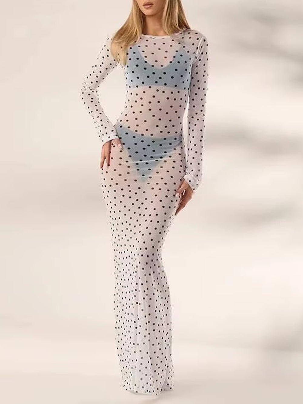 Paloma Mesh Swim Cover Maxi Dress