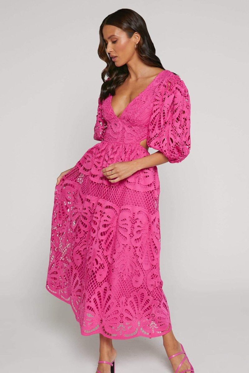 Sandra Embroidered Lace Cut-out Midi Dress - View 9