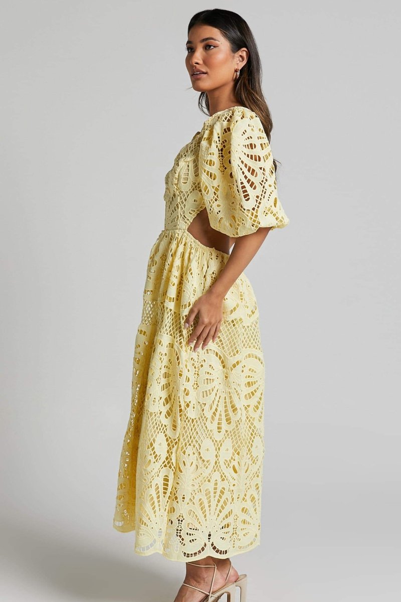 Sandra Embroidered Lace Cut-out Midi Dress - View 4
