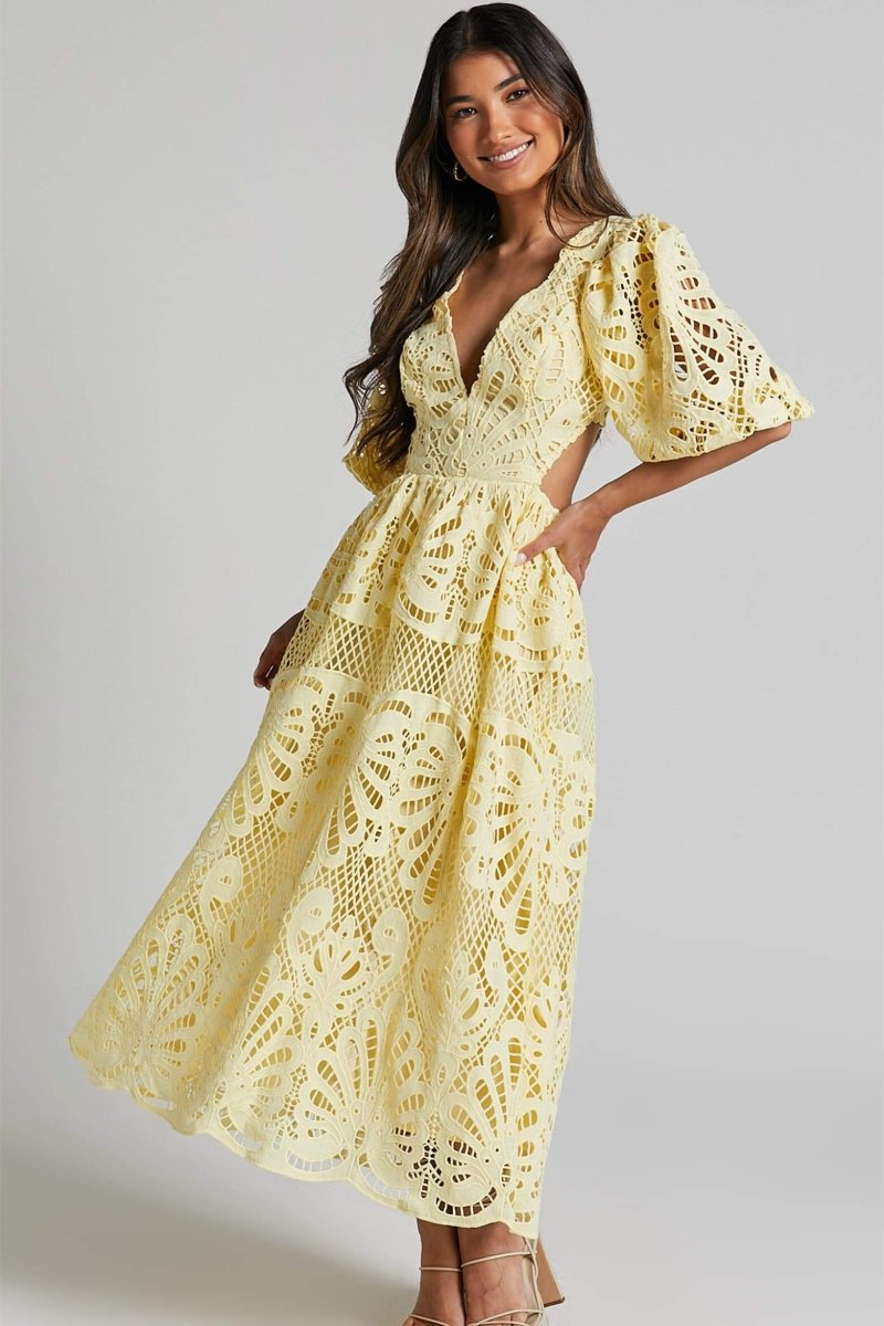 Sandra Embroidered Lace Cut-out Midi Dress - View 3