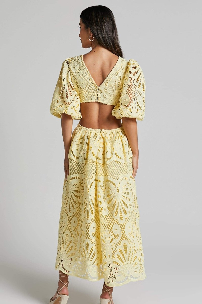Sandra Embroidered Lace Cut-out Midi Dress - View 5