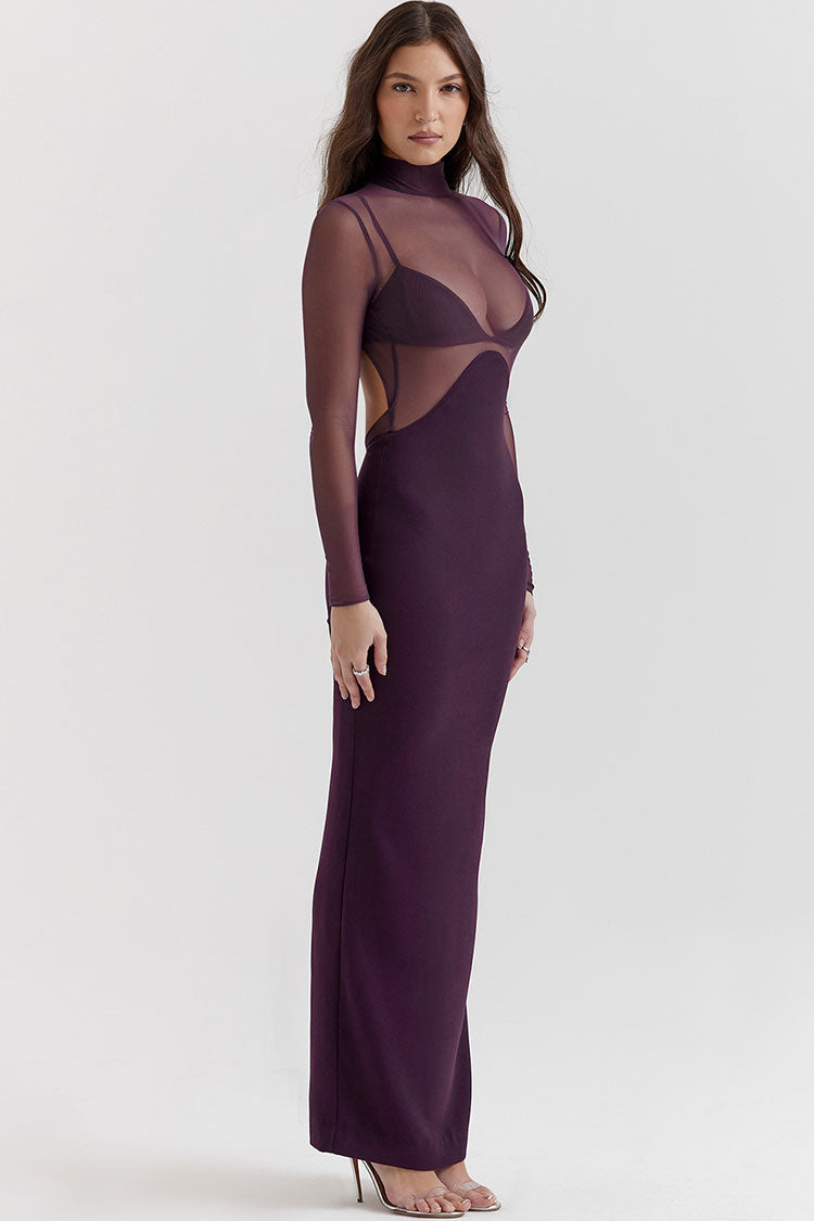 Mesh Mock Neck Long Sleeve Cut Out Bodycon Maxi Dress