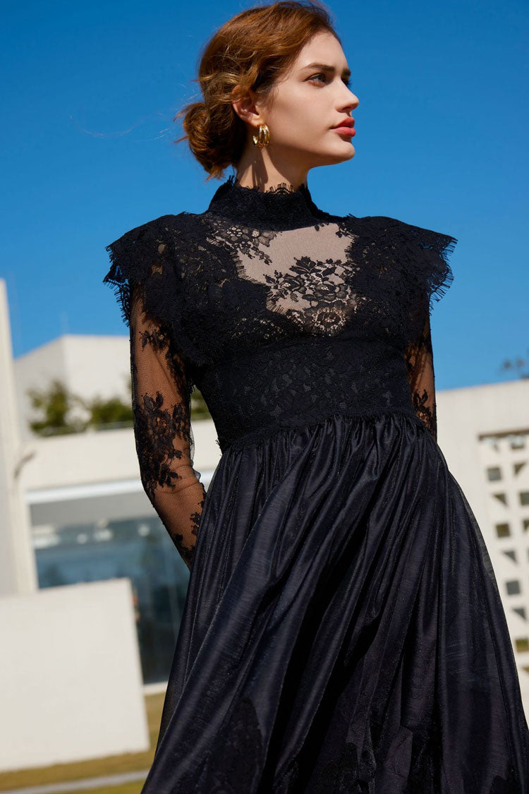 Lace High Neck Long Sleeve Sheer A-Line Maxi Dress