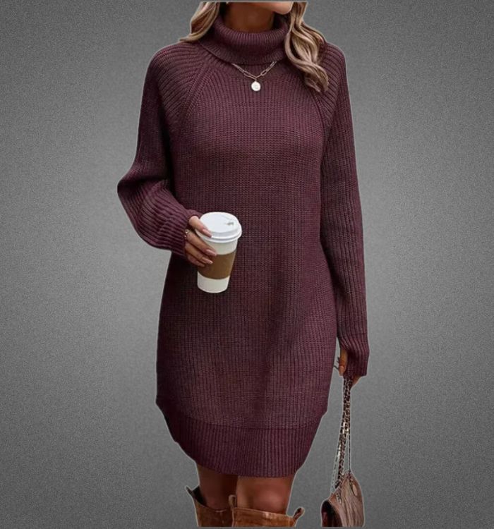 Knit Turtleneck Raglan Long Sleeve Ribbed Oversized Mini Sweater Dress