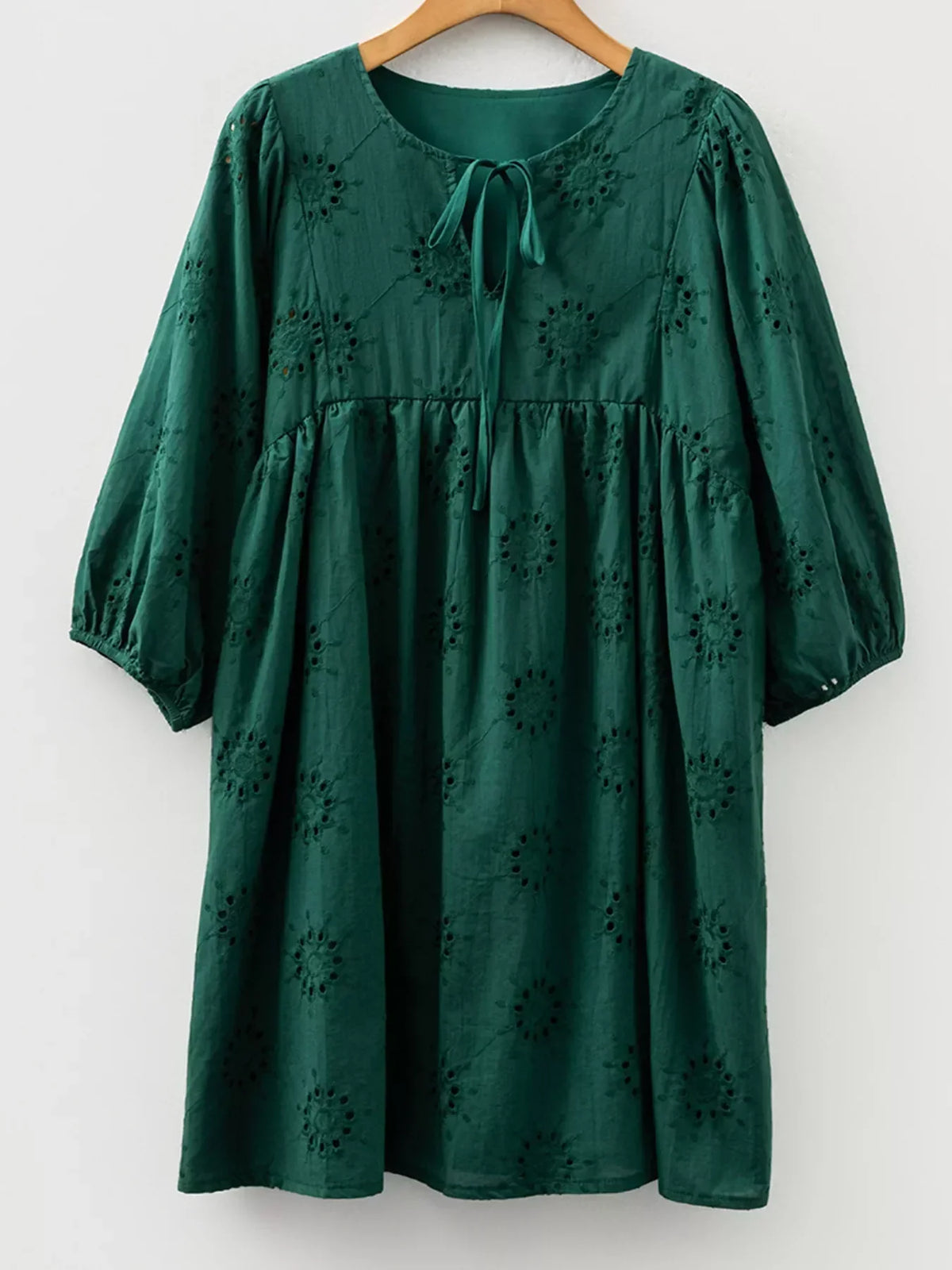 Eyelet Embroidered Tie Neck Puff Sleeve Swing Mini Dress 6