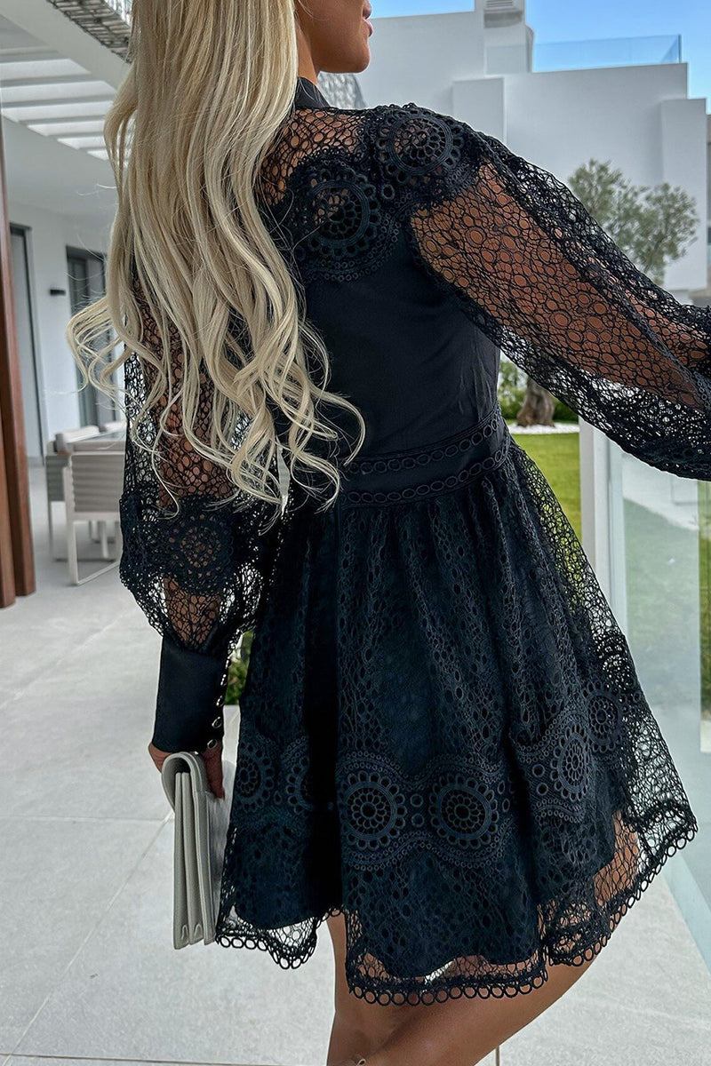 Lace Button Front High Neck Bishop Sleeve Fit and Flare Mini Dress