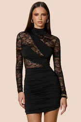 Sheer Lace Panel Mock Neck Sleeve Fit Lace Dress