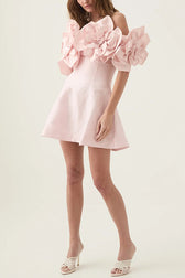 Floral Appliqué Off Shoulder Fit and Flare Mini Dress 3