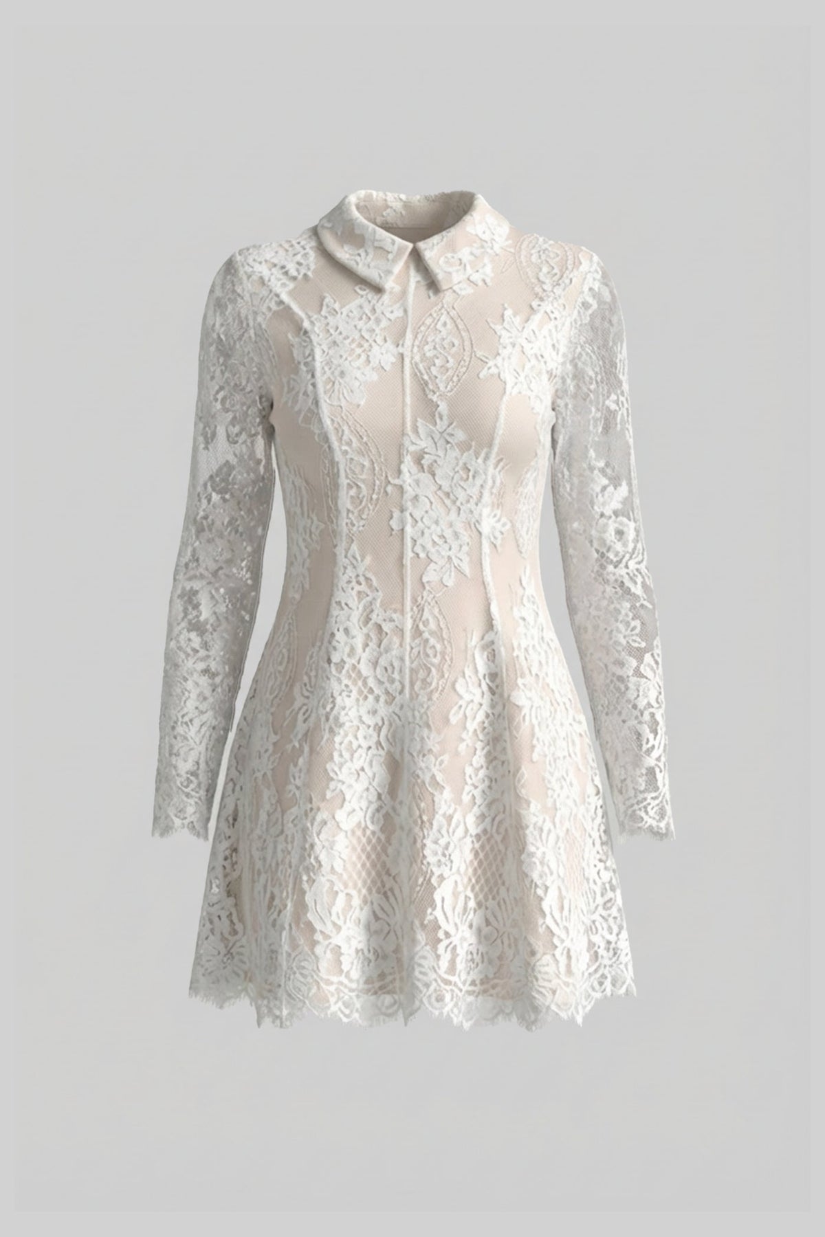 Collared Sheer Long Sleeve Lace Structured Waist Mini Dress 2
