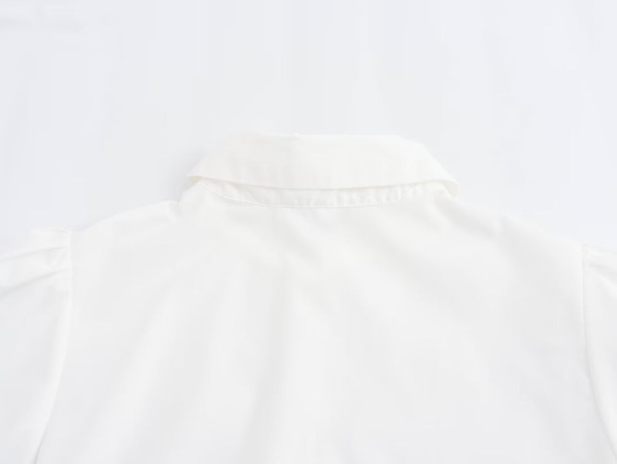 Collared Short Sleeve Belted Tie Waist Mini Shirt Dress 12