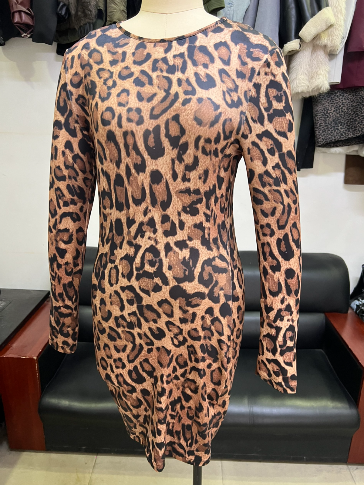Leopard Print Crew Neck Long Sleeve Bodycon Mini Dress 4