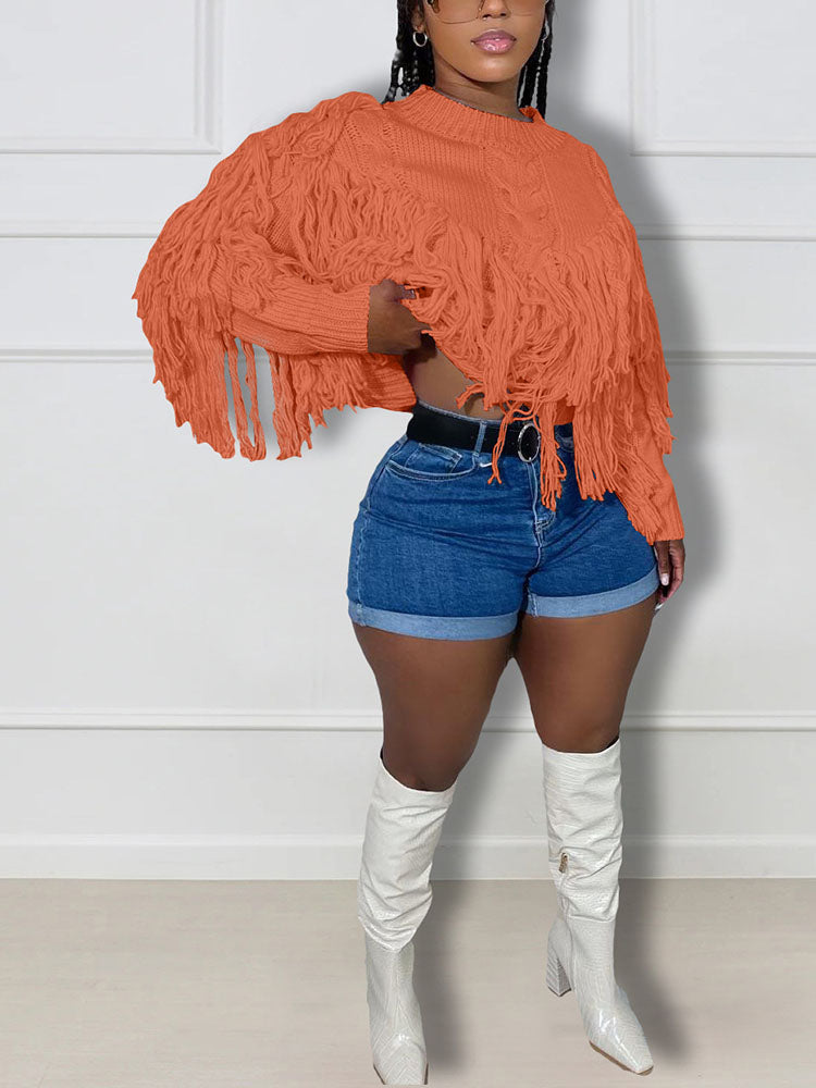 Crew Neck Long Sleeve Fringe Trim Cable Knit Sweater 17