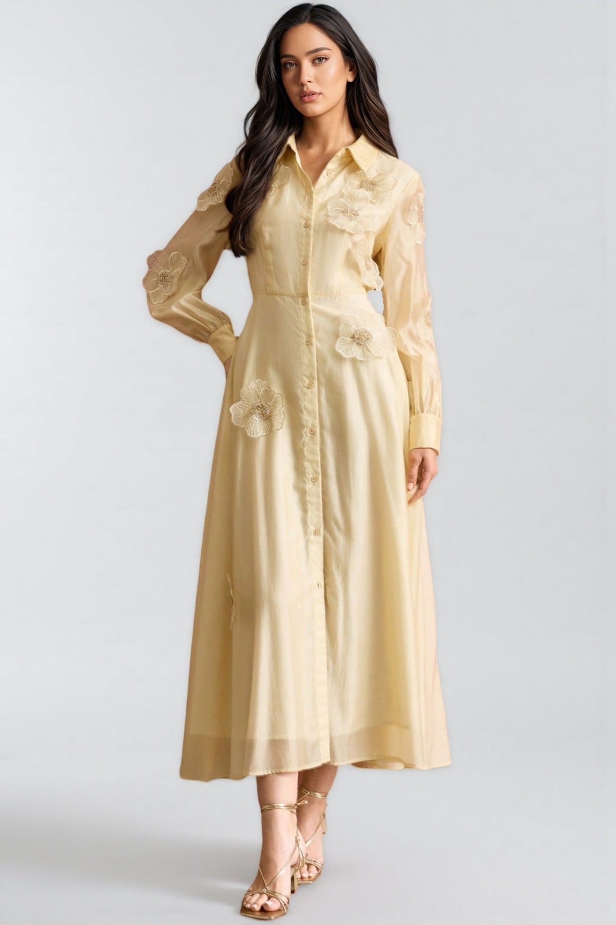 Floral Applique Collared Button Front Sheer Long Sleeve Maxi Shirt Dress