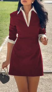 Collared V-Neck Long Sleeve Contrast Trim Mini Dress 4