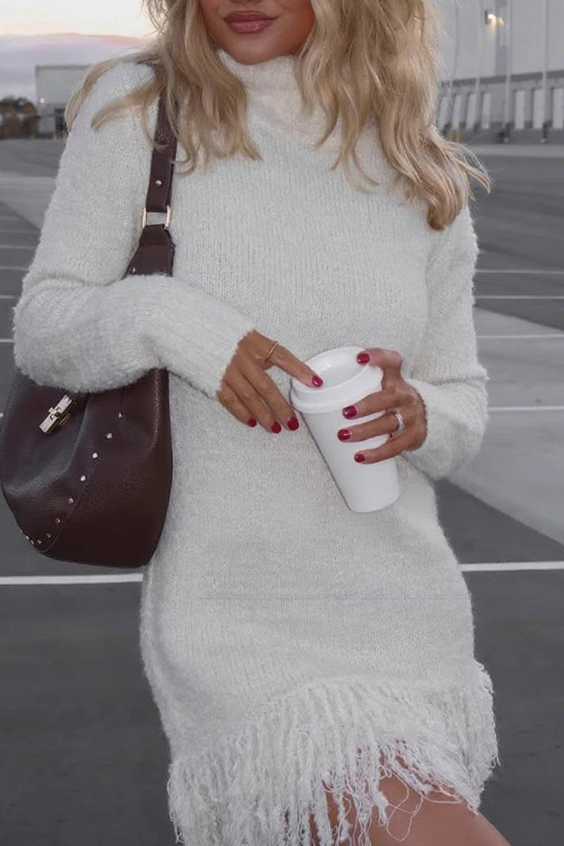 Knit Turtleneck Long Sleeve Fringe Hem Sweater Mini Dress