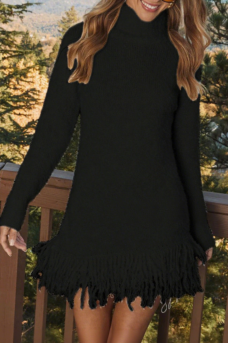 Knit Turtleneck Long Sleeve Fringe Hem Sweater Mini Dress 2