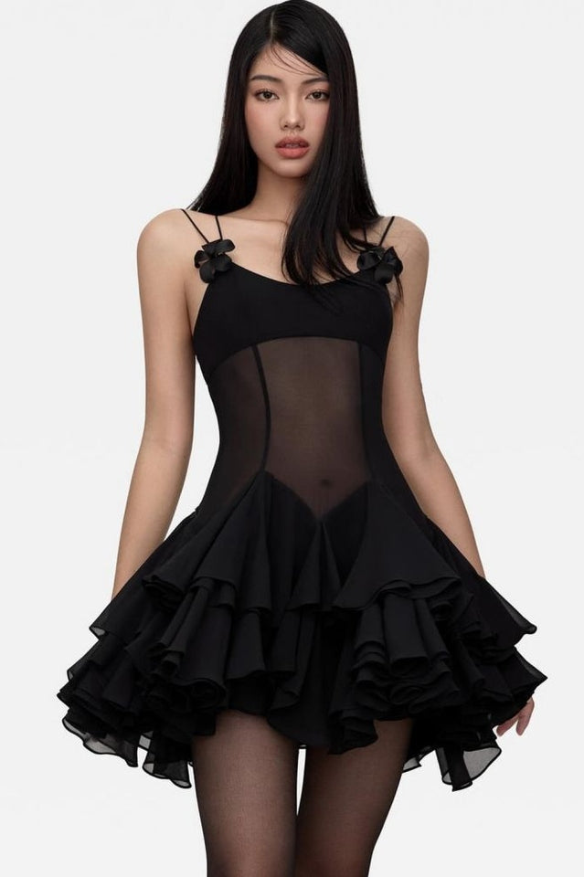 Sheer Mesh Mini Dress