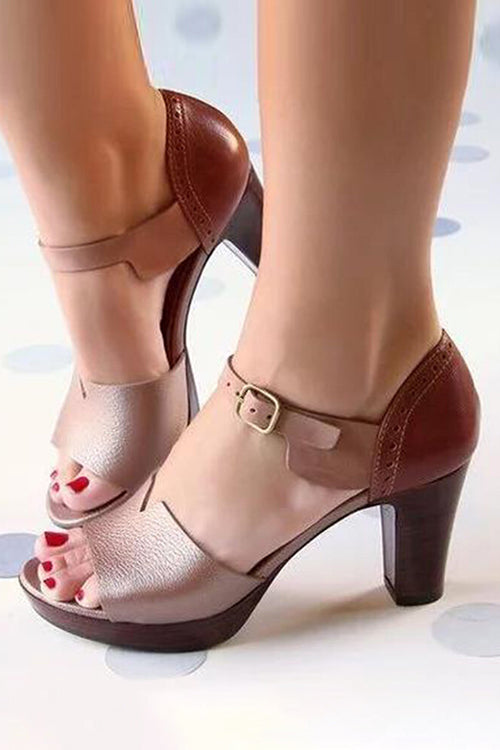 Ankle Strap Chunky Heel Sandals