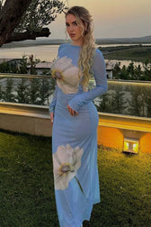 Mesh Print Lace Up See Through Backless Maxi Dress 2