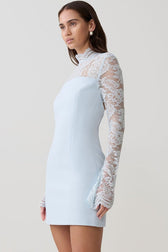 Strapless Lace Panel Sheer Backless Bodycon Lace Dress