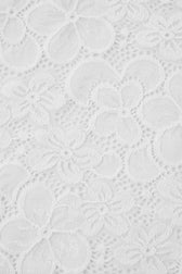 Sheer Lace Backless Bodycon Lace Dress 7