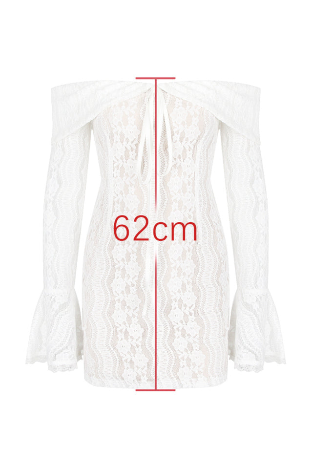 Parisian Vintage Cream Lace Mini Dress