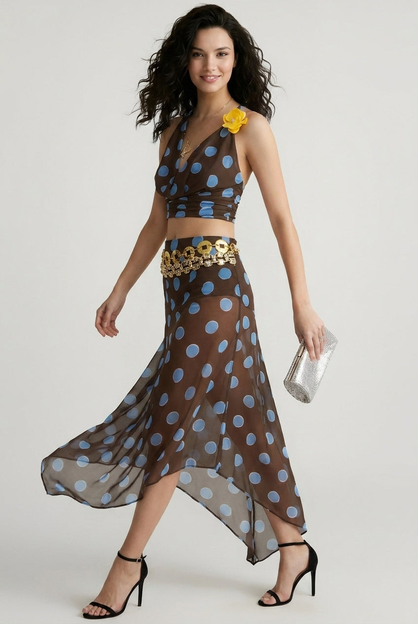 Polka Dot Mesh High Waist Vacation Skirt