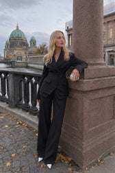 Casual V Neck Two Piece Blazer Pants Set