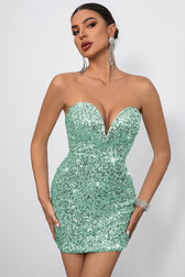 Bodycon Sequin Dress