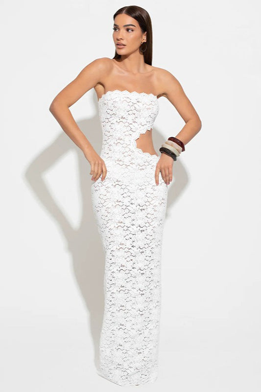 Elegant Lace Sheer Bustier Backless Cutout Bodycon Dress 4