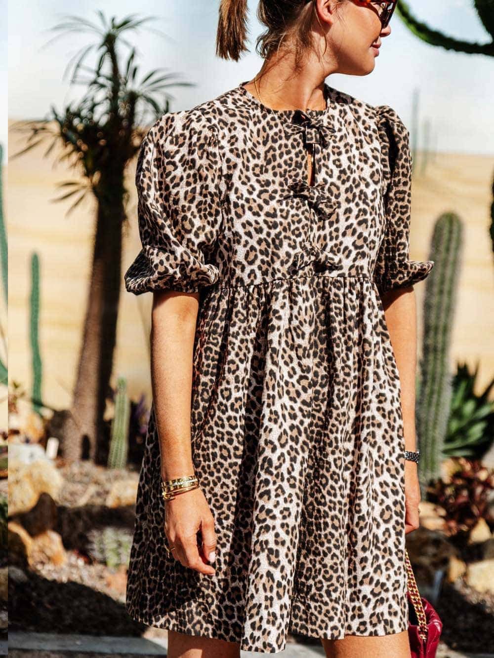 Alessandra Timeless Leopard Dress Everyday Luxe Edit