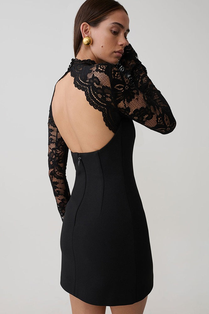 Strapless Lace Panel Sheer Backless Bodycon Lace Dress