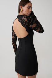 Strapless Lace Panel Sheer Backless Bodycon Lace Dress