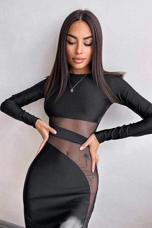 Mesh Panel Long Sleeve Maxi Dress 4